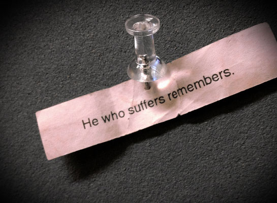 He who suffers remembers.